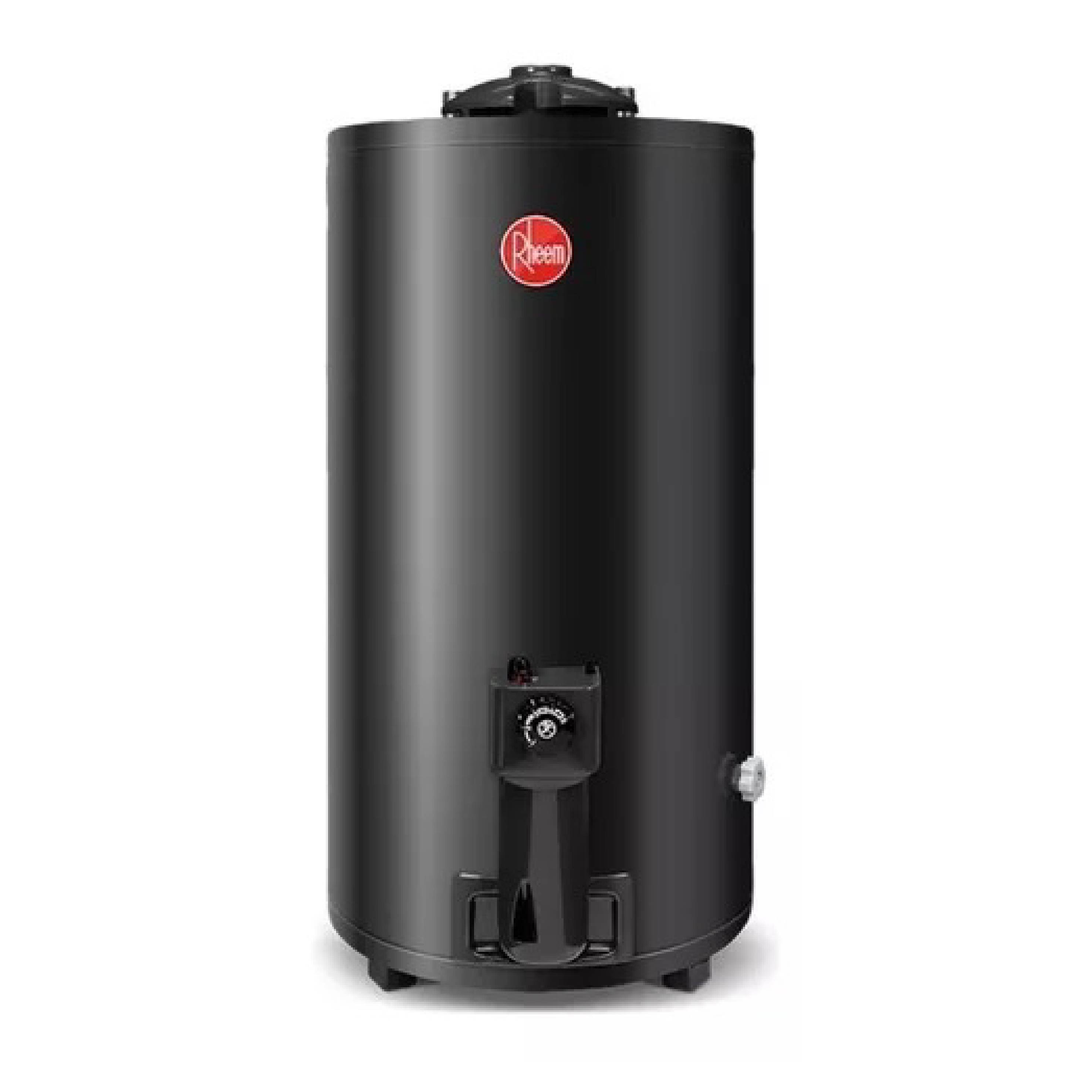 RHEEM - TERMOTANQUE DE PIE 80 LTS GAS NATURAL      