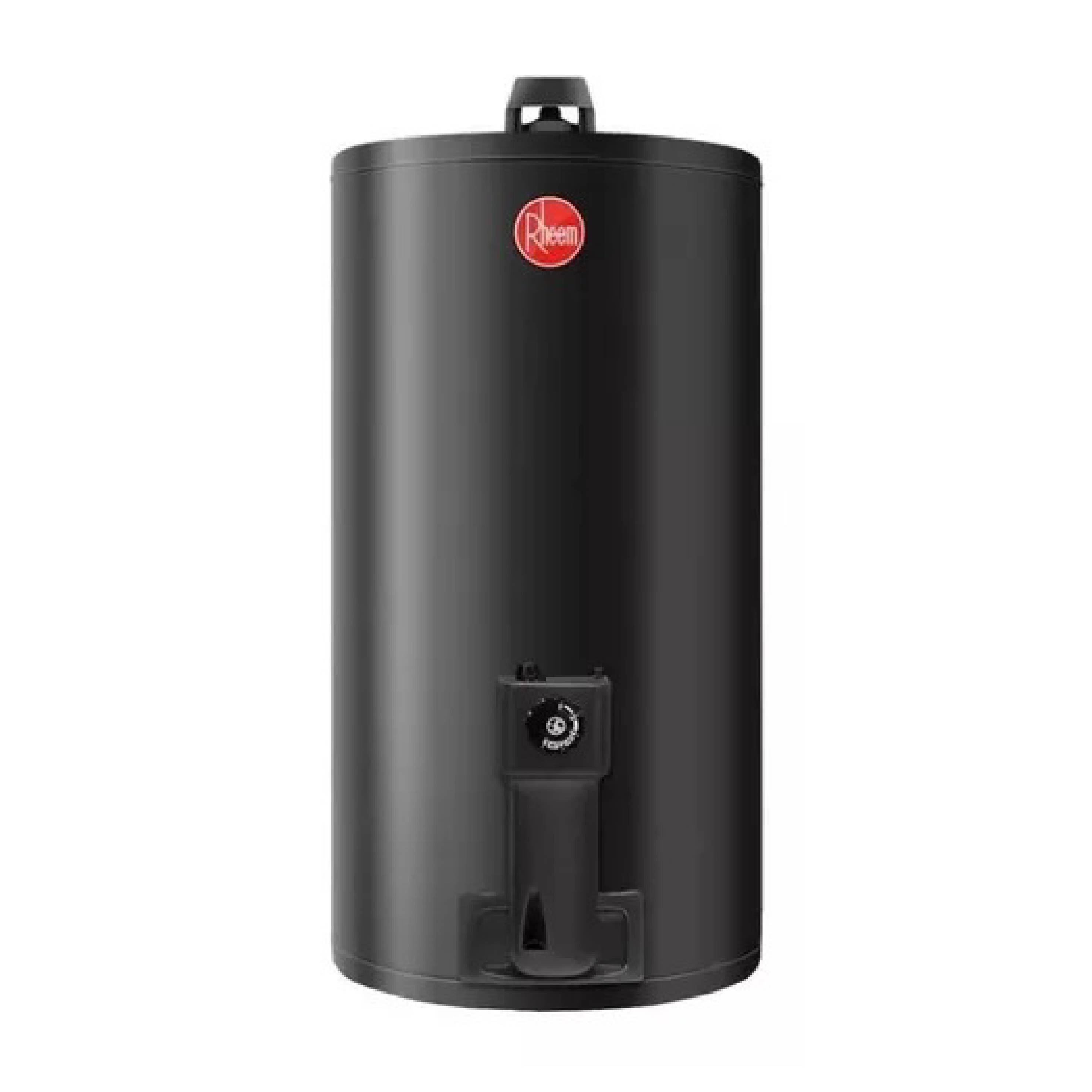 RHEEM - TERMOTANQUE DE COLGAR 80 LTS GAS NATURAL      