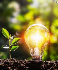 ENERGIA RENOVABLE